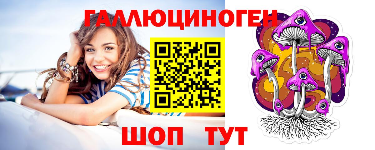 Зеленогорск  Галлюциногенные грибы мухоморы  Псилоцибиновые грибы GOLDEN TEACHER  Вход с VPN 