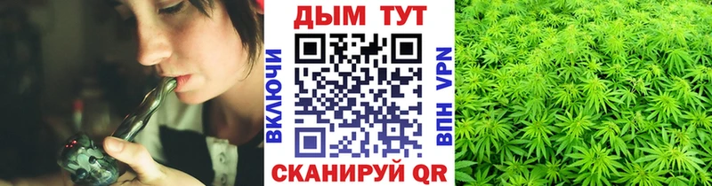 Канабис семена  omg tor  Зеленогорск 